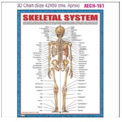 Chart Aech-161