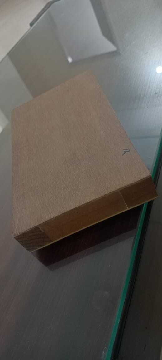 Flush Door