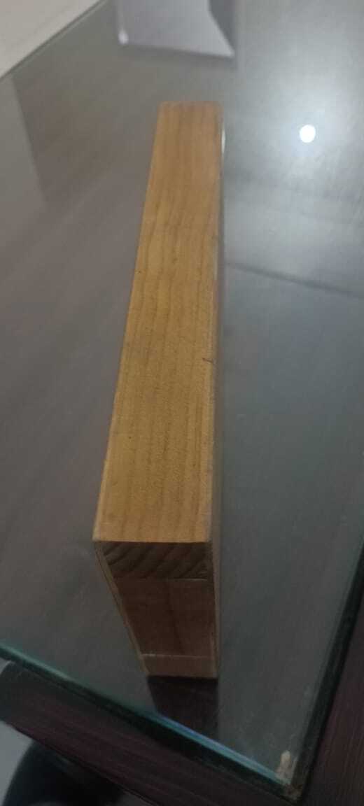Flush Door