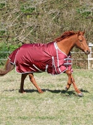 Horse Rugs