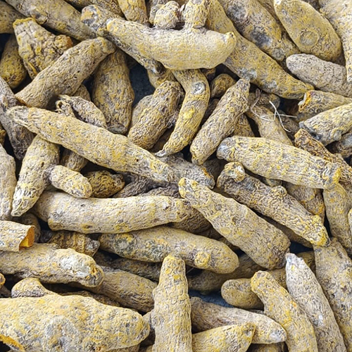 Dried Turmeric Finger - Natural Taste, Dried Product Type | Storage In Dry Place, Weight As Per Requirement