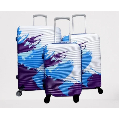 Delwin Havelock Cabin And Large Hard Luggage Bag - Hardness: Yes