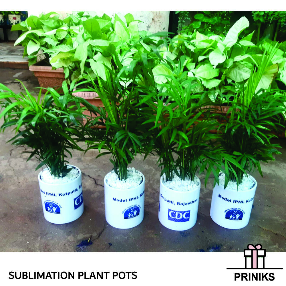 Sublimation Plant Pots - Ceramic, Cylindrical, White | Durable, Lightweight, Customizable, Versatile, Drainage Holes, Sublimation-ready