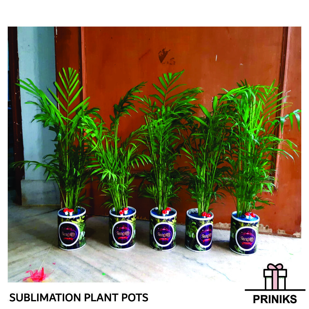 Sublimation Plant Pots - Ceramic, Cylindrical, White | Durable, Lightweight, Customizable, Versatile, Drainage Holes, Sublimation-ready