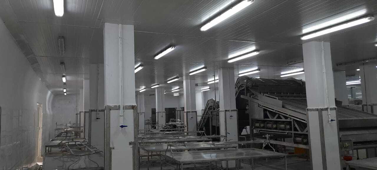 Food Processing Industries - Climate Type: Cool