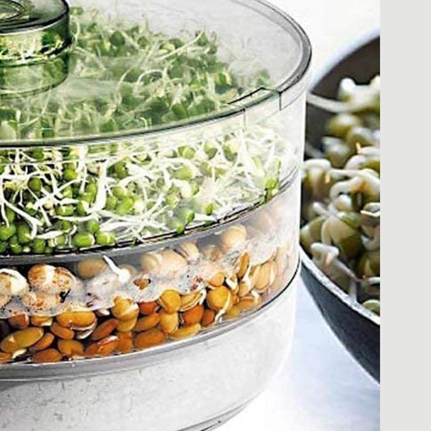 Sprout Maker 4 Layer - Plastic, 10x10x1.5 Cm, Multicolour | Hygienic Airtight Design With 4 Containers For Organic Home Sprouting