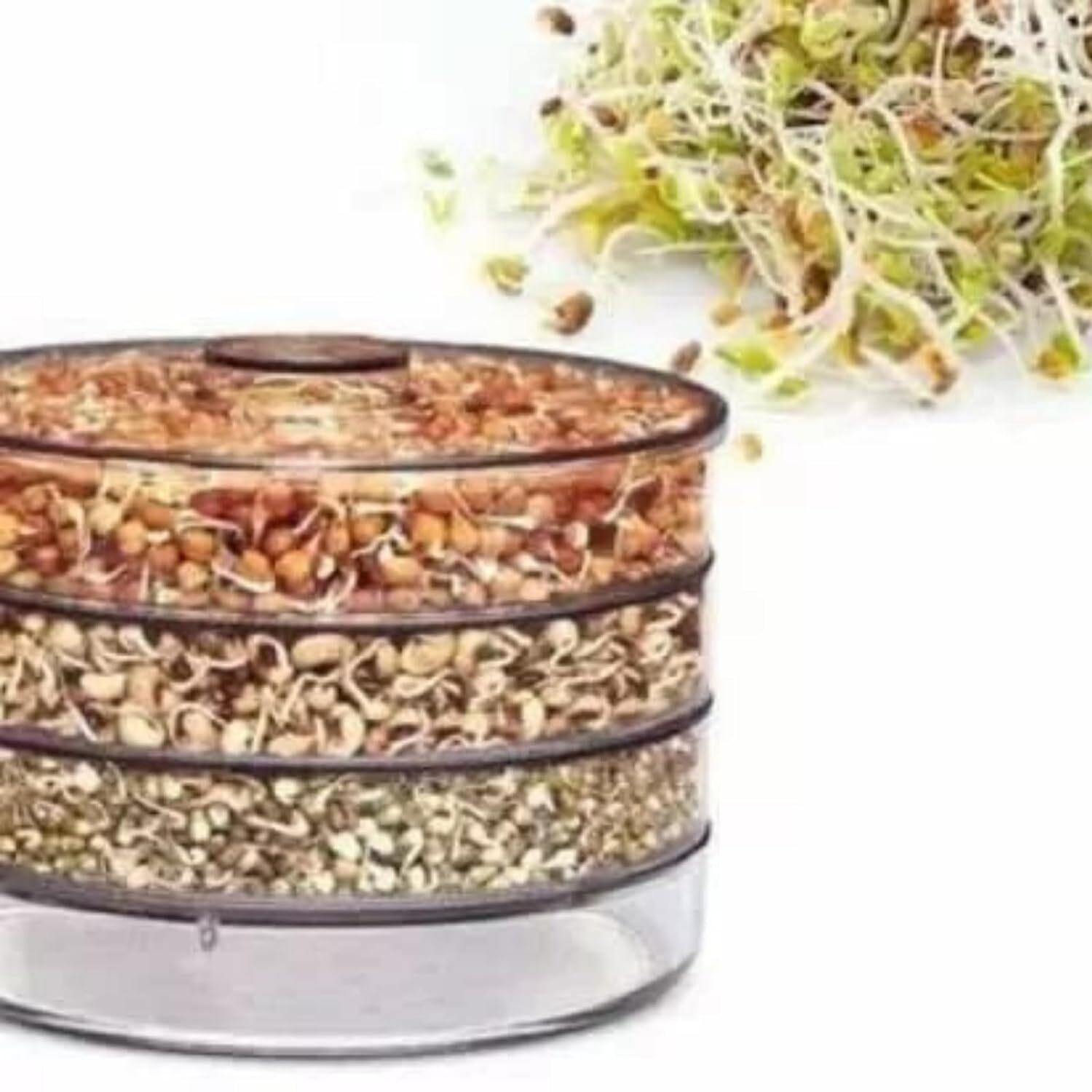 Sprout Maker 4 Layer - Plastic, 10x10x1.5 Cm, Multicolour | Hygienic Airtight Design With 4 Containers For Organic Home Sprouting