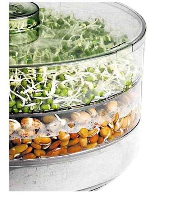 Sprout Maker 3 Layer