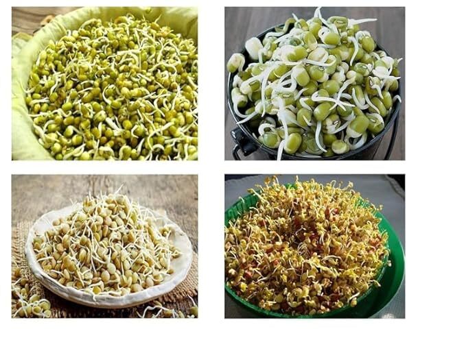 Sprout Maker 3 Layer
