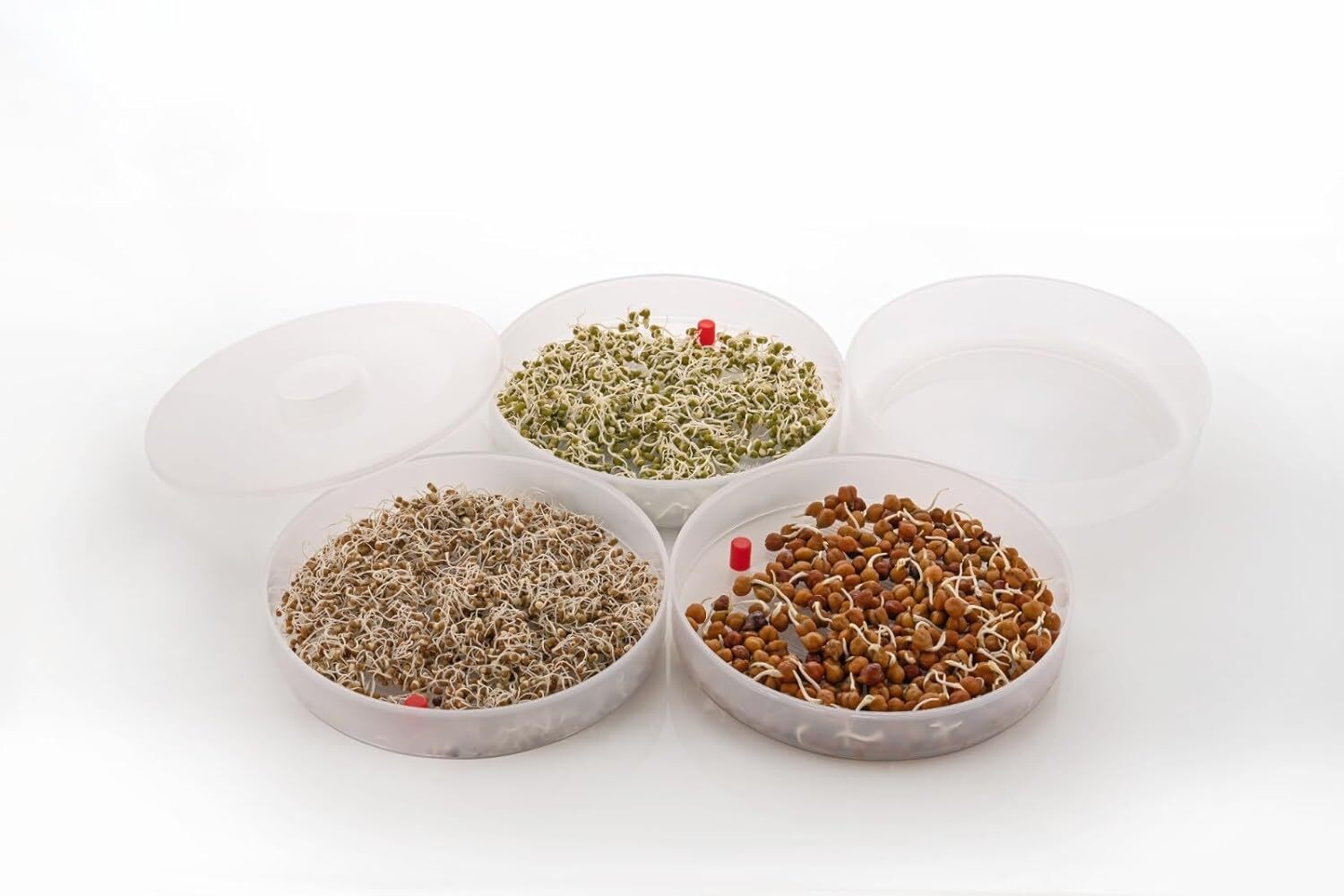 Sprout Maker 3 Layer