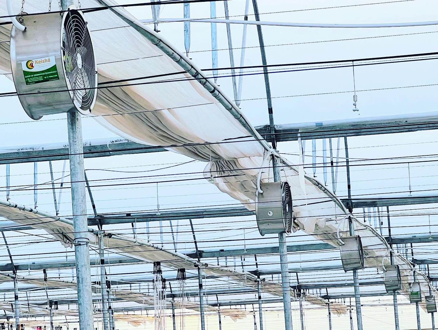 Double Vent Polyhouse - Durable Plastic, Large Size 5.5m Height | Eco-friendly, Re-usable, Air Cooling System, Manual Monitoring