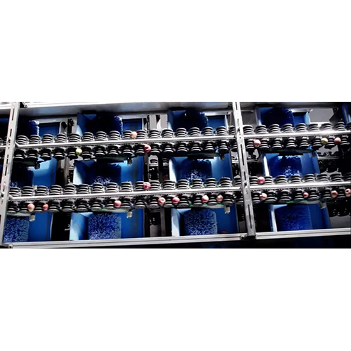 4 Lane Apple Grading Machine - Capacity: 1000 Kg/Hr
