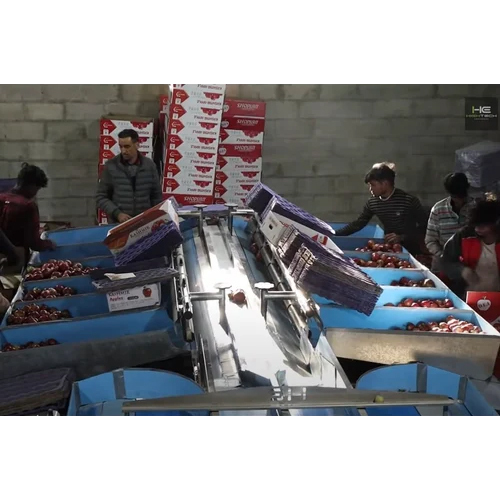 4 Lane Size Grader Machine - Capacity: 1000 Kg/Hr