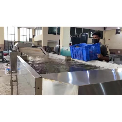 Tomato Weight Sorting Machine - Output: Normal