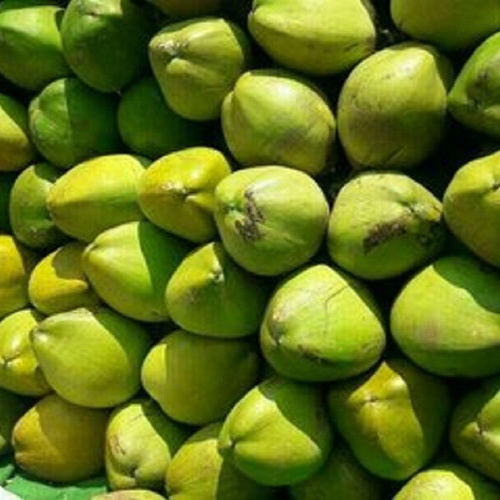 हरा टेंडर नारियल