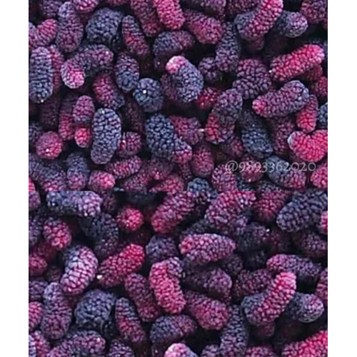 Frozen Indian Mulberry - 1kg Frozen Organic Mulberries | Unique Taste, Perfect for Smoothies & Snacks, Preserves Freshness for 12 Months