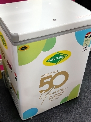 Western Deep Freezer - White Exterior, 220-240 Volt, Manual Defrost | Power-Efficient, Spacious Design with Warranty for Reliable Food Storage