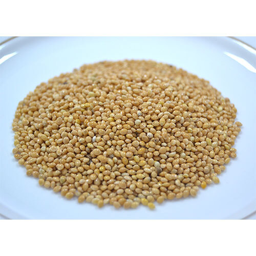 Yellow Millet - Grade: A Grade
