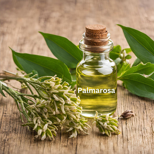 Palmarosa Oil - 99% Pure Essential Oil Extracted from Leaves | Therapeutic Benefits for All Age Groups, Antiseptic & Antibacterial Properties, Stress Relief