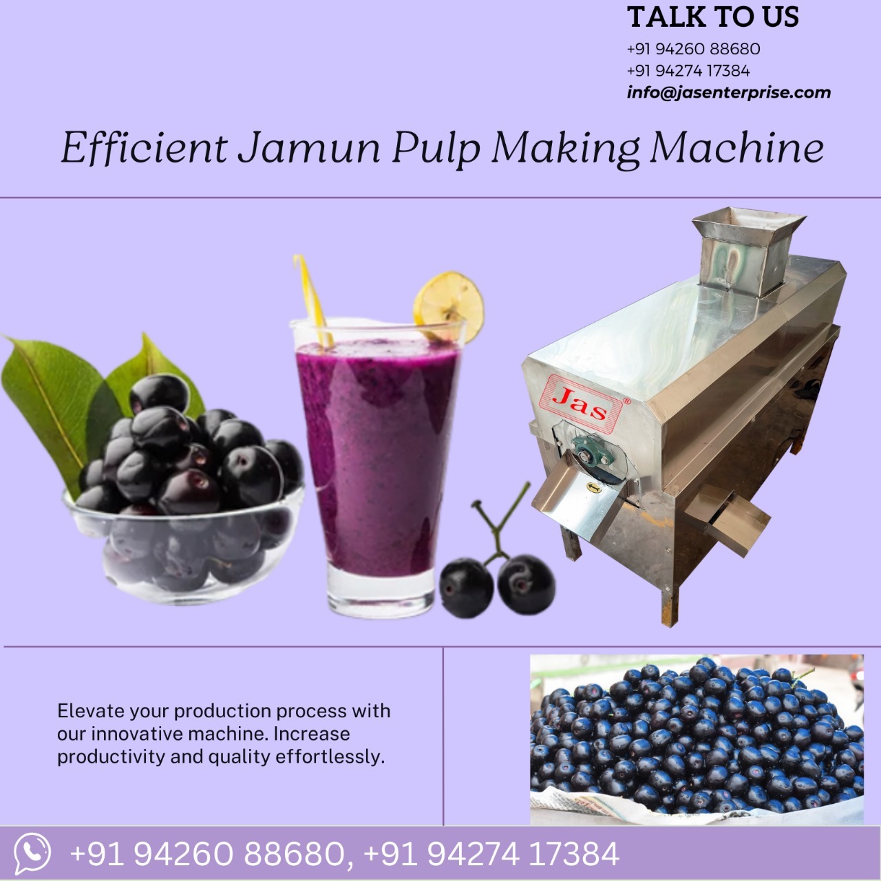 Fruit Processing Machinery - 100 Kg/hr Capacity, Automatic Operation, Stainless Steel Body, 0.5-50 Hp Power Output