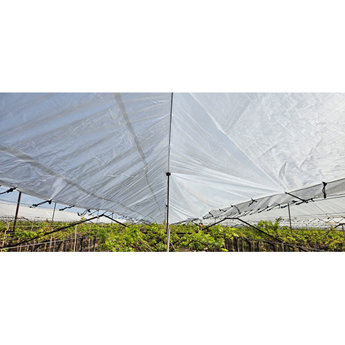 Hdpe Grapes Cover - Color: White