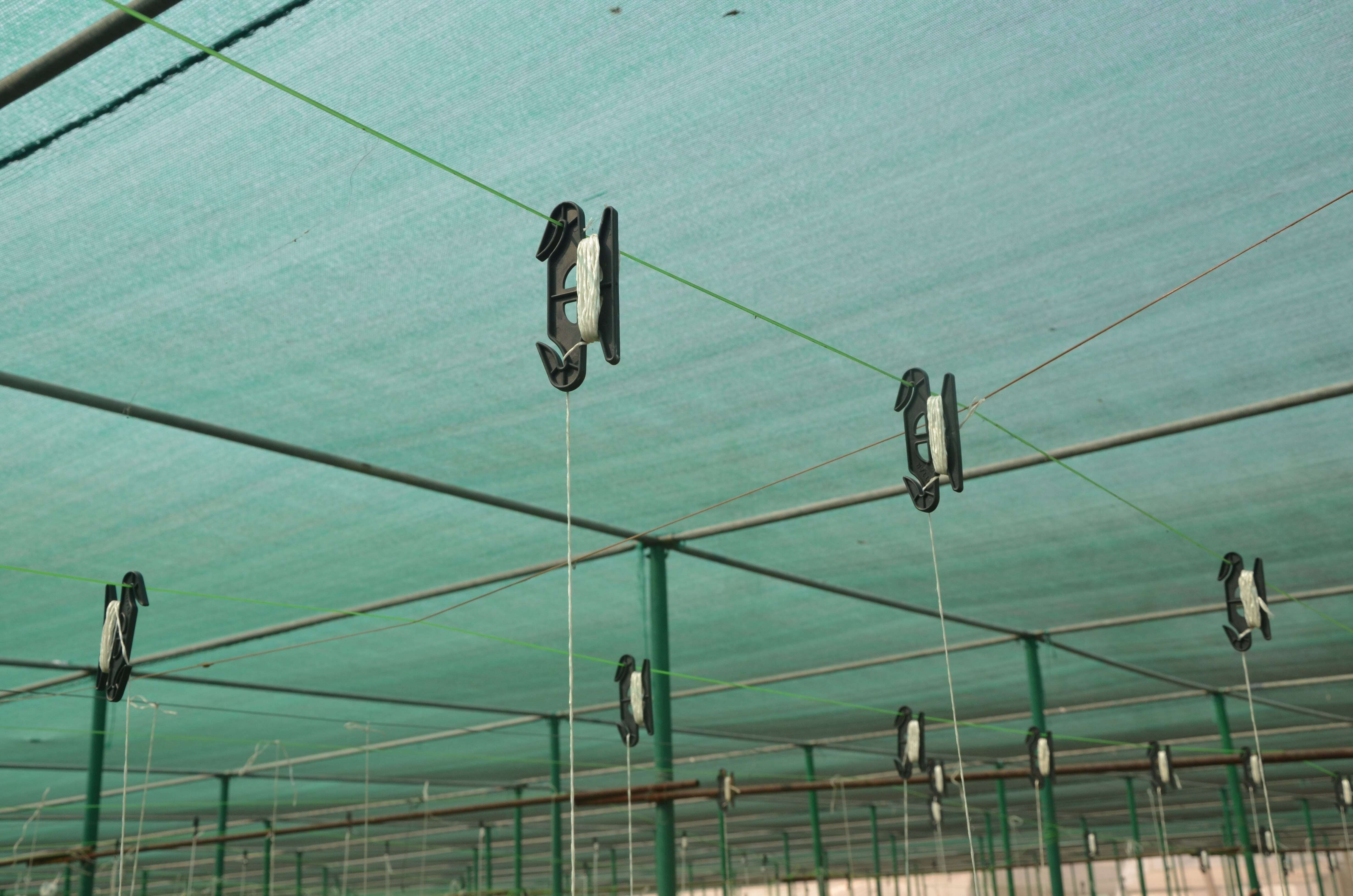 H Hook For Plant Trellising - Hdpe Material, 20 Micron Thickness, Black Color | Strong Anchor Point, Weight Bearing Capacity, Reusable Design