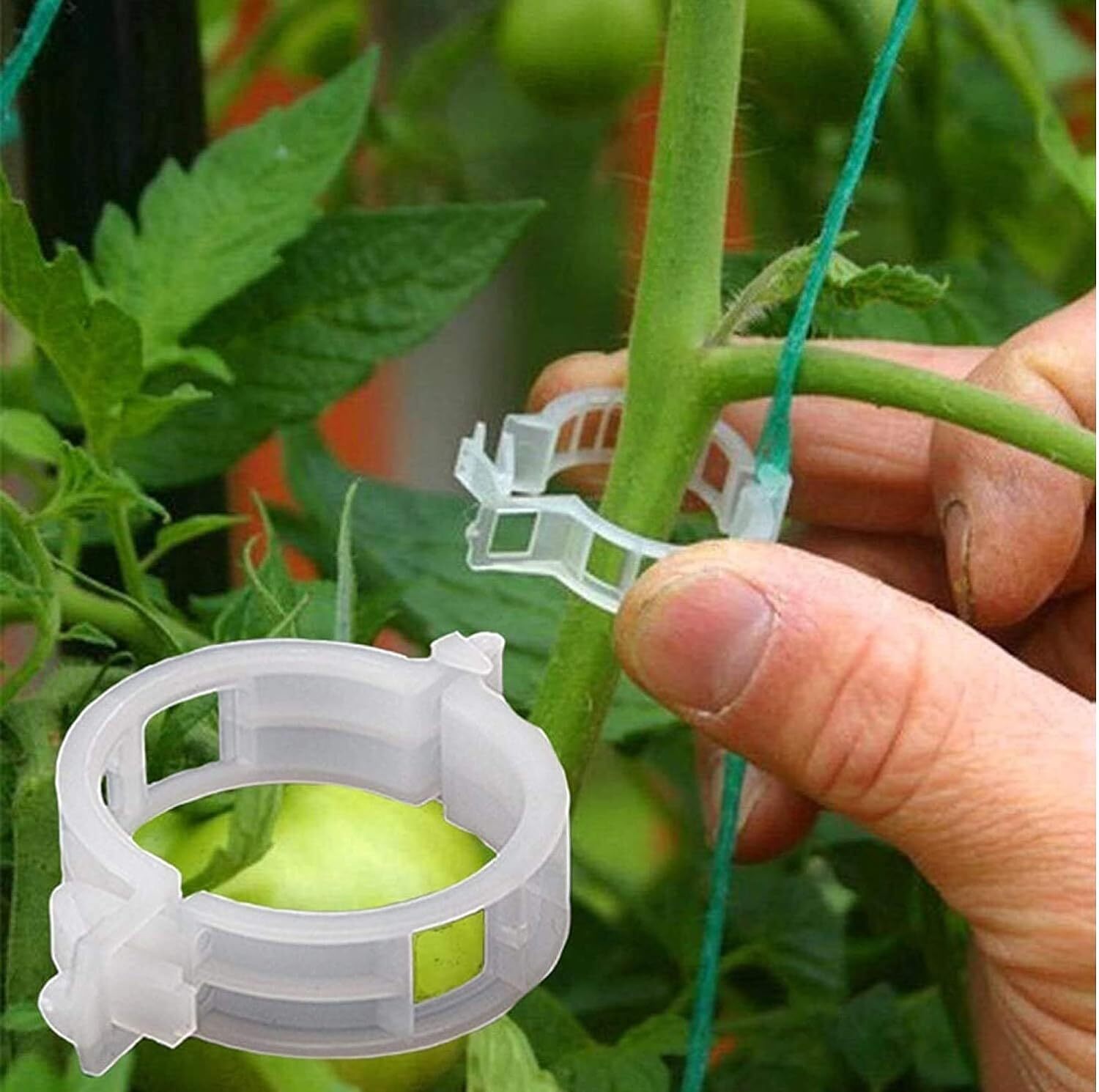 Plant Support Clips - Plastic, 23mm Diameter, White | Durable Solution For Trellising, Prevents Plant Damage And Maximizes Garden Space