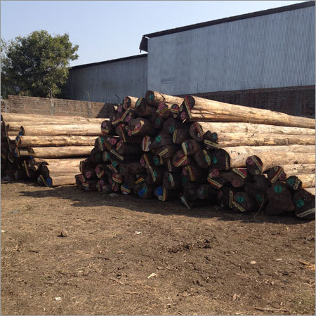 उपचारित लकड़ी काटी गई