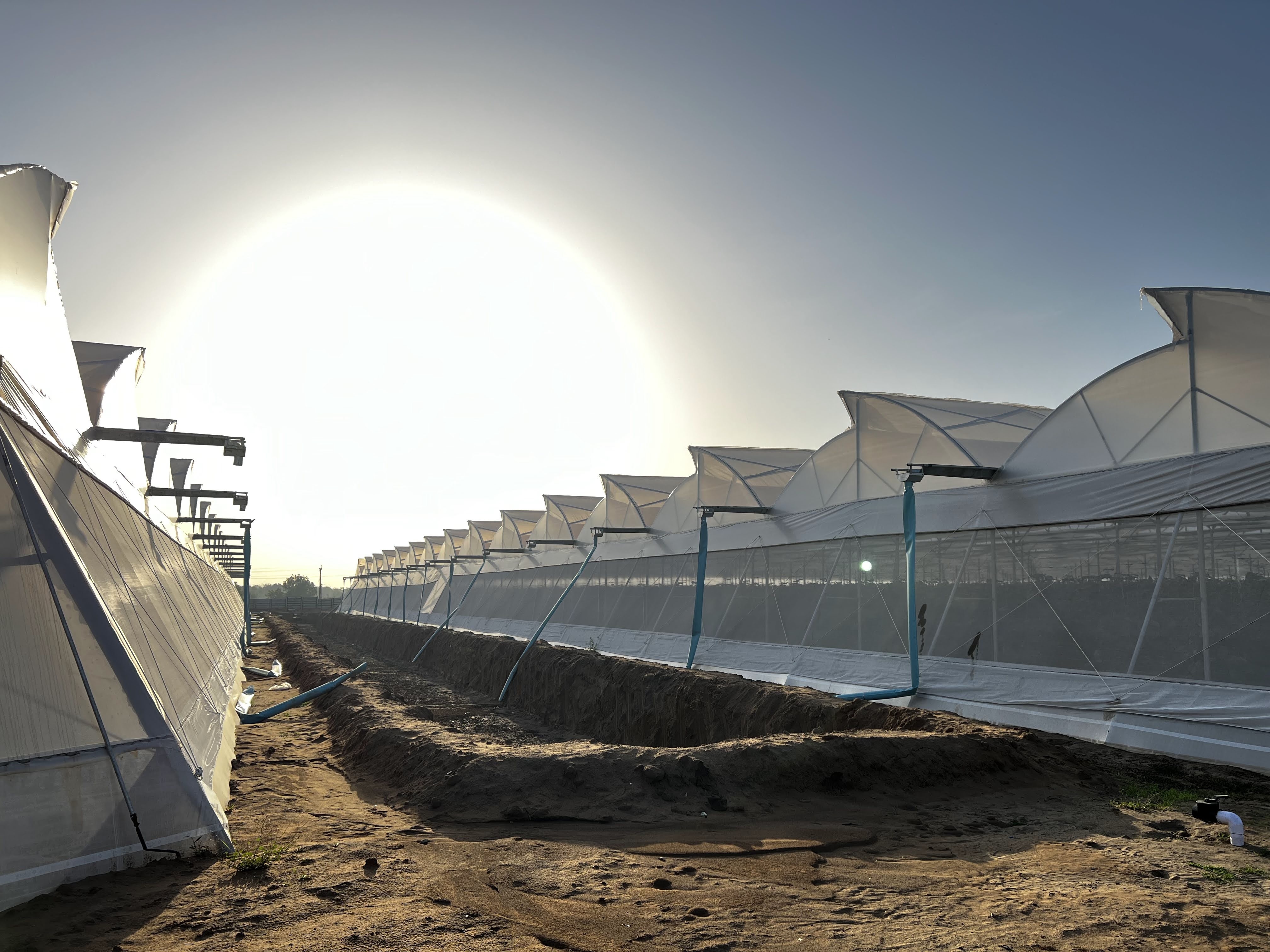 Ventilated Poly House - Advantage: Long Life