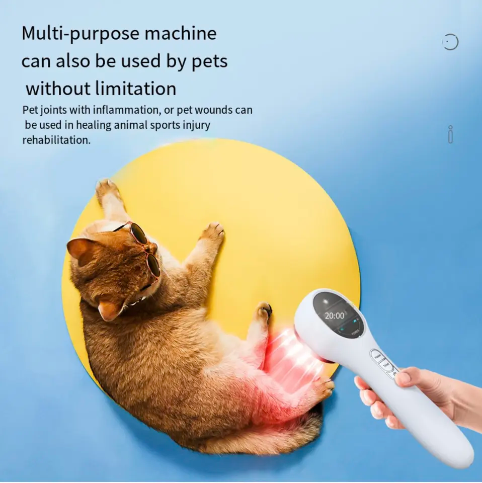 Laser Therapy Device, 650nm&808nm Light Therapy, For Body Arthritis Physiotherapy,