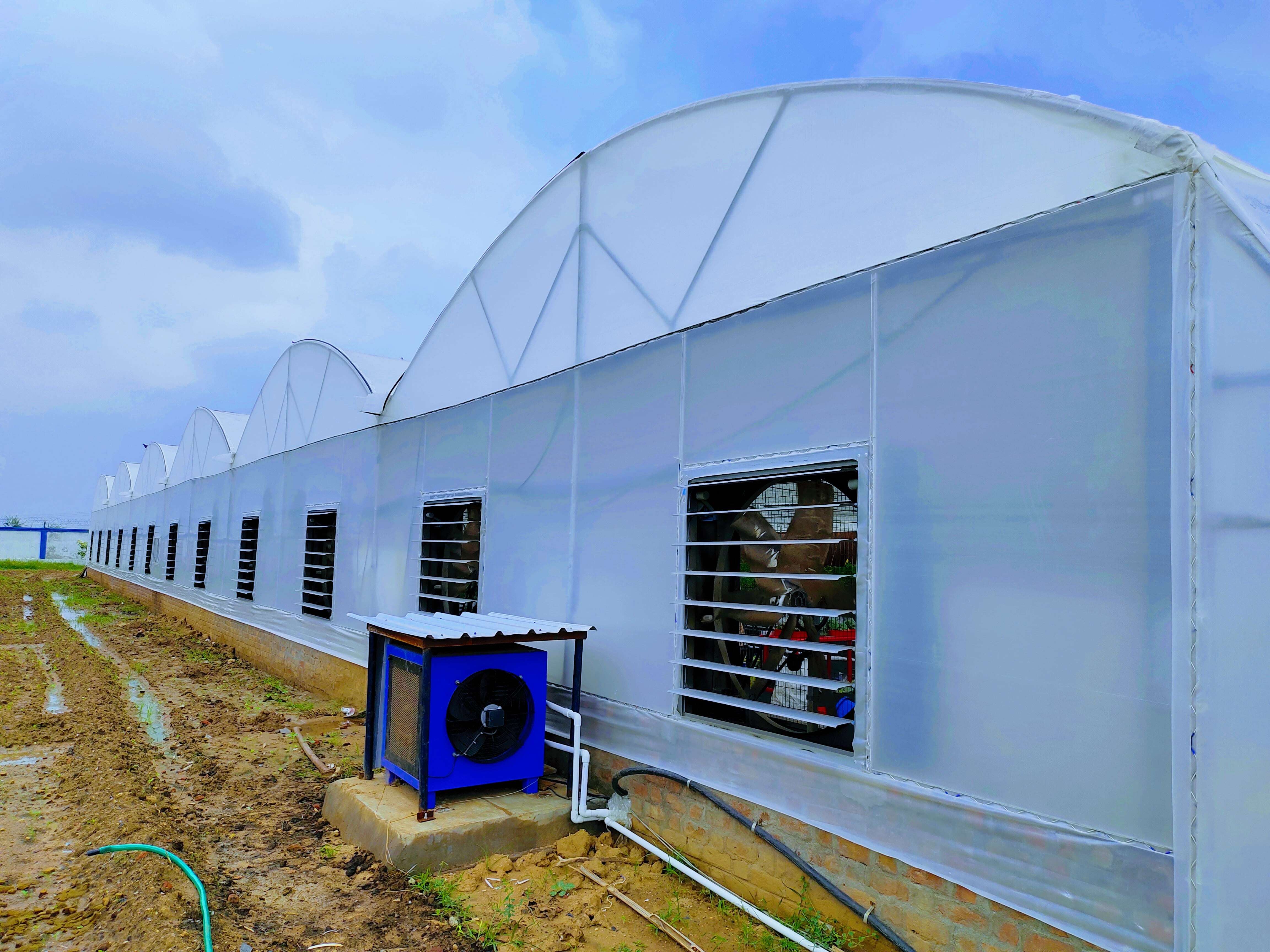 Panel Build Dome Shaped Fan And Pad Greenhouse - Advantage: Long Life