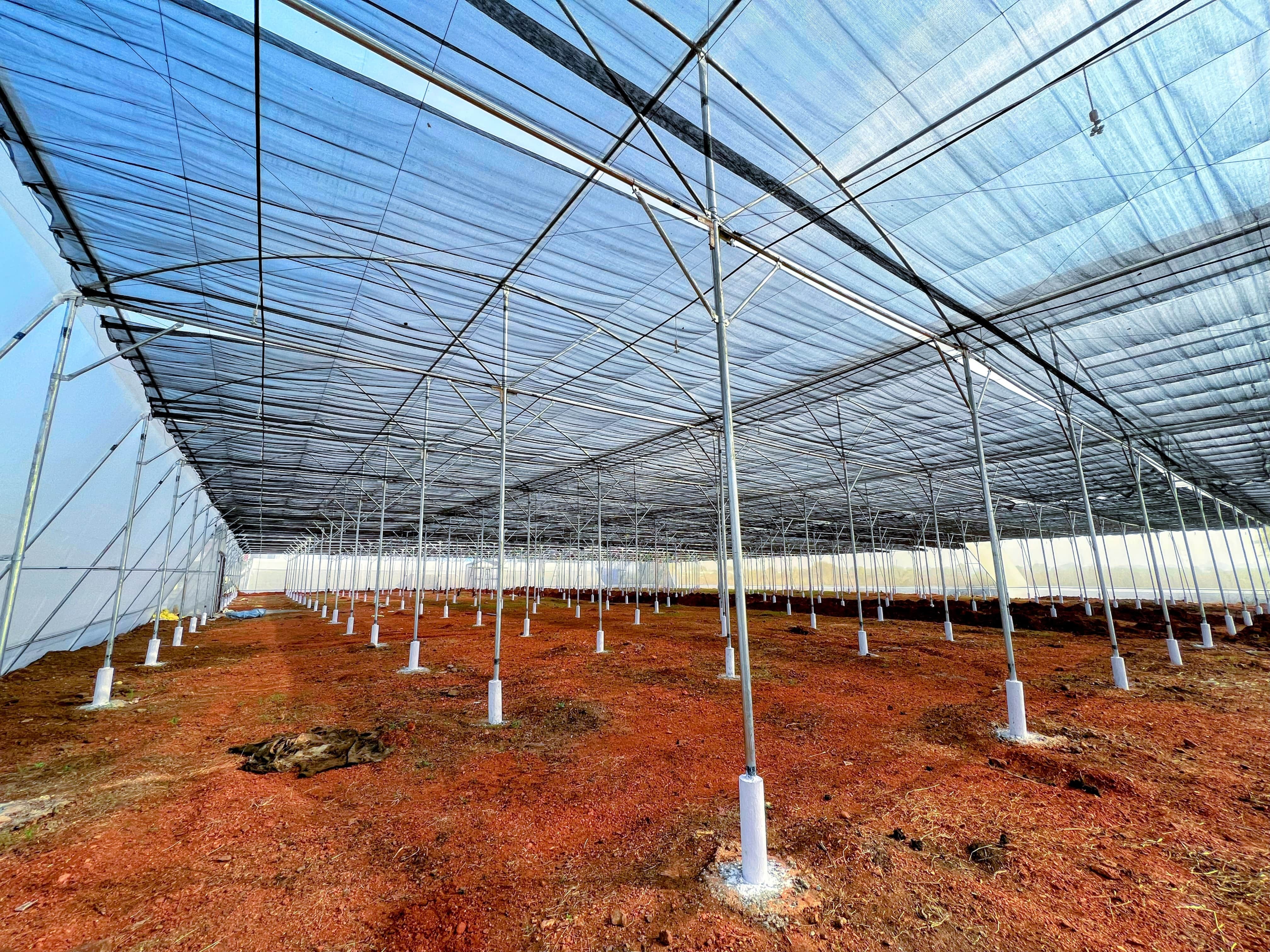 Dome Shape Net House - Advantage: Effective Sun Protection
