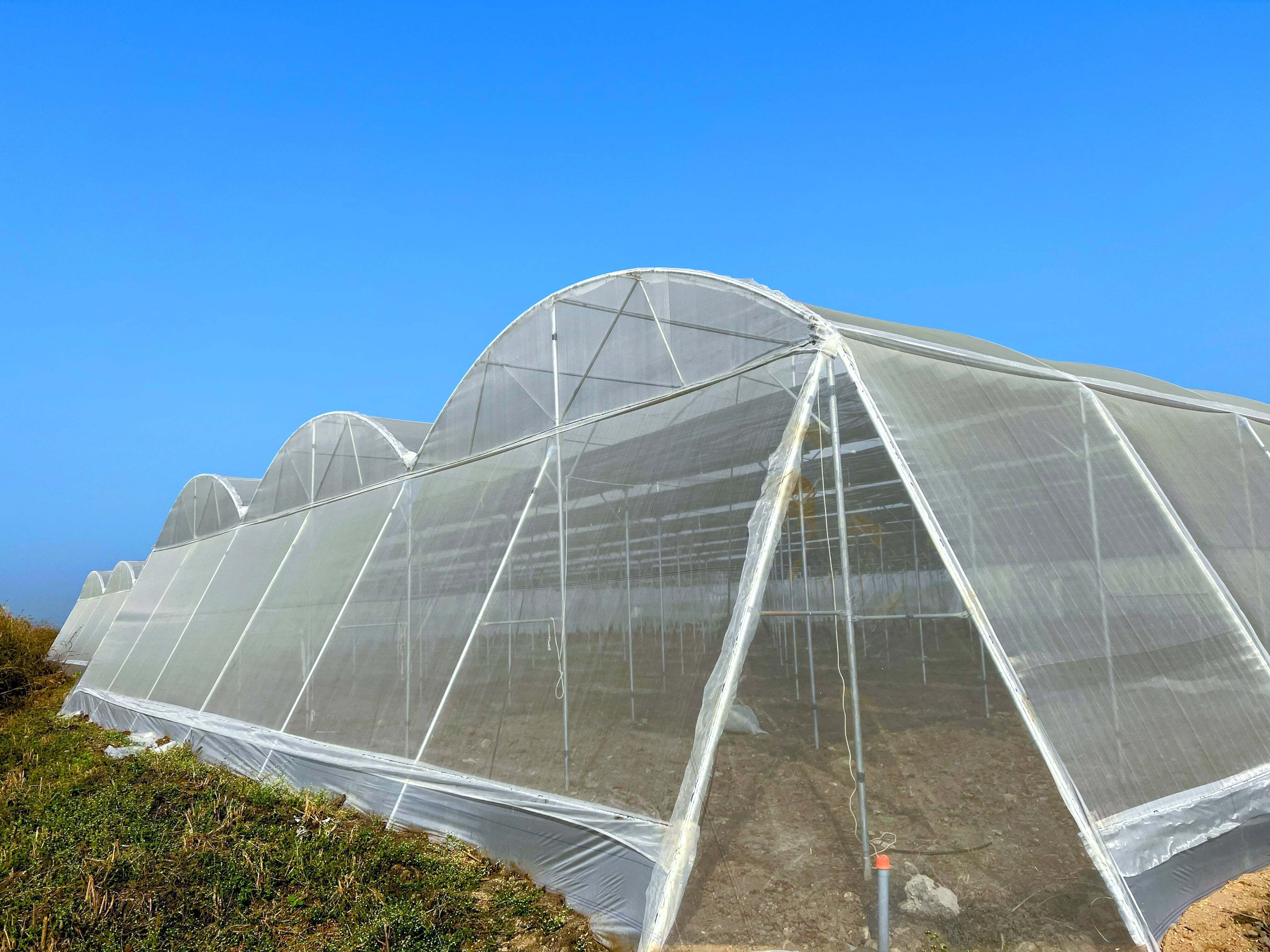 Dome Shape Net House - Advantage: Effective Sun Protection