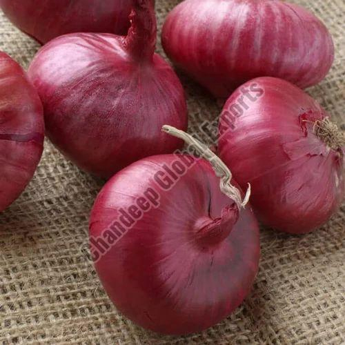 A Grade Red Onion - Natural Shape, Deep Rich Red Color | Freshly Dried, Preservative-Free, Mild Sweet Flavor, 1 Month Shelf Life