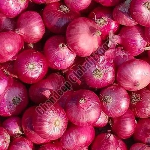 Hybrid Red Onion - Dried, Natural Shape | Fresh Flavor, No Preserving Compounds, 1-2 Months Shelf Life