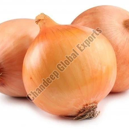 ताजा मीठा प्याज