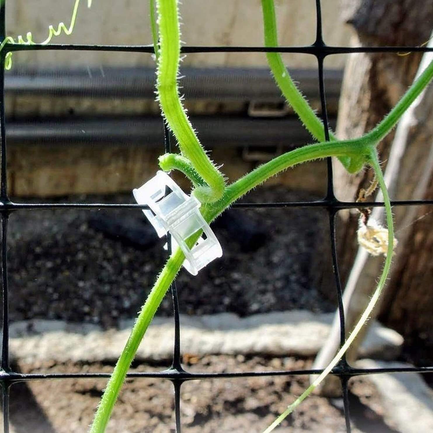 Plant Support Clips - Plastic, 23mm Diameter, White | Durable Solution For Trellising, Prevents Plant Damage And Maximizes Garden Space