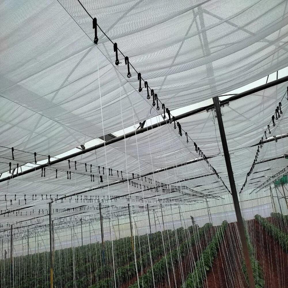 Hdpe Black J-hook For Greenhouse Trellising System - Advantage: Re-usable