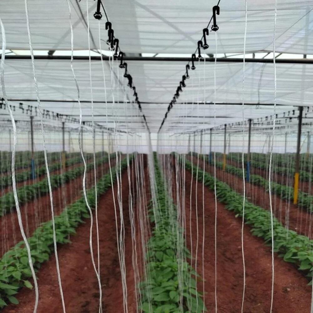 Hdpe Black J-hook For Greenhouse Trellising System - Advantage: Re-usable