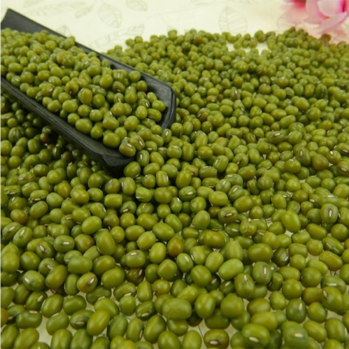 Green Mung Beans - Whole Organic Pulses | Fresh Round Shape, Excellent Source Of Protein, Fiber, Iron, And Magnesium
