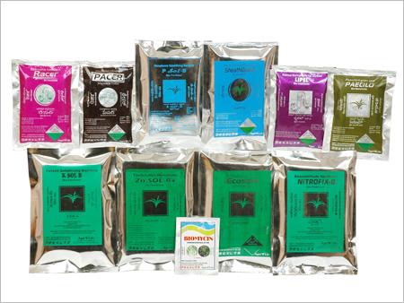 Powder Bio