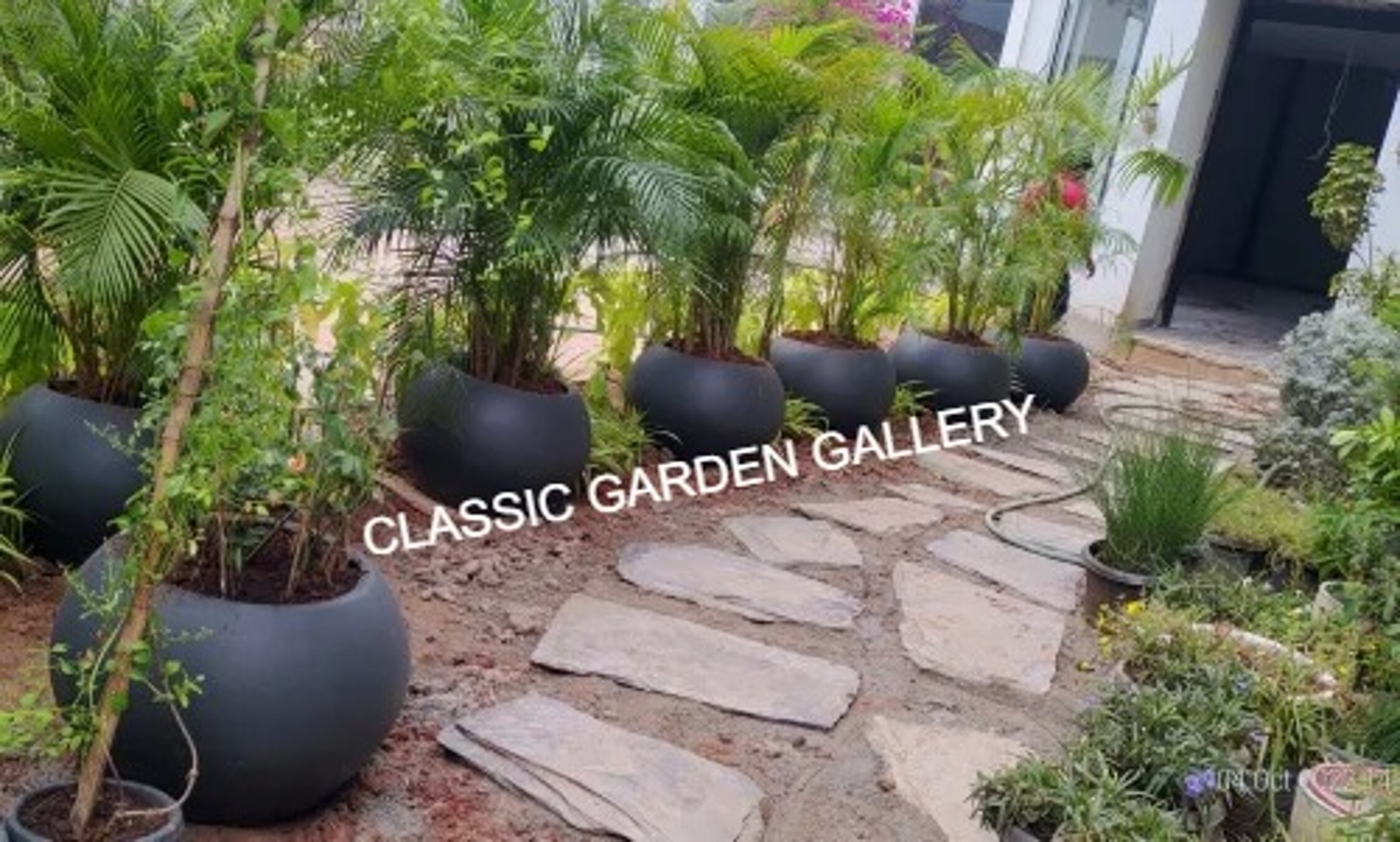 Fancy Cement Flower Pot - Color: Grey