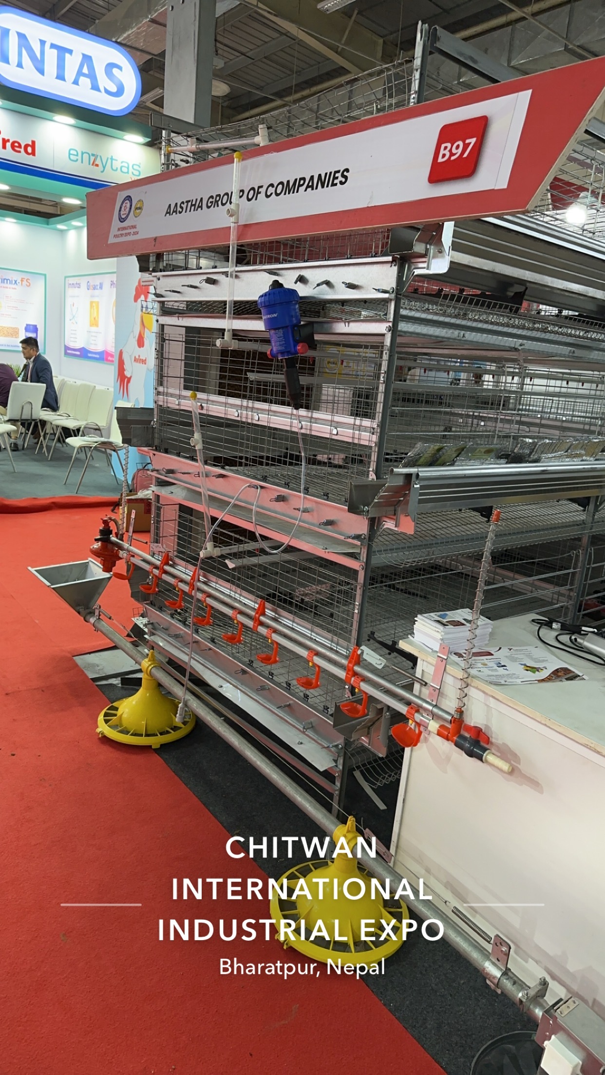 Layer & Broiler Cages - Heavy-duty Mesh, Multi-section Design | Automatic Feeding, Drinking, Egg Collection, Manure Removal, Ventilation & Control System