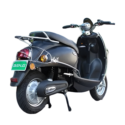 Benling Kirti Back Guard - Material: Steel