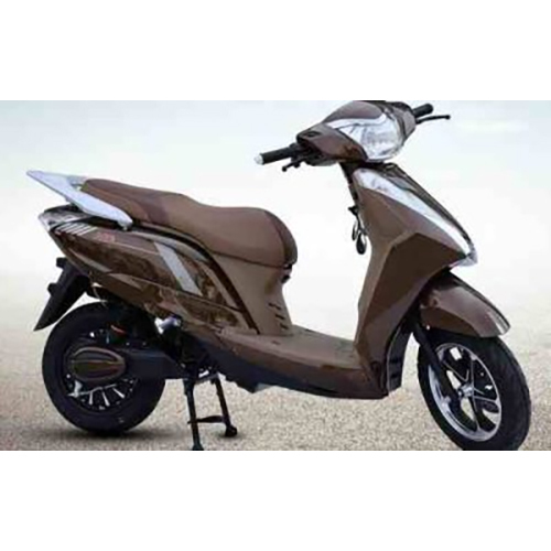 Ace Electric Scooter - Input Voltage: 48 Volt (V)