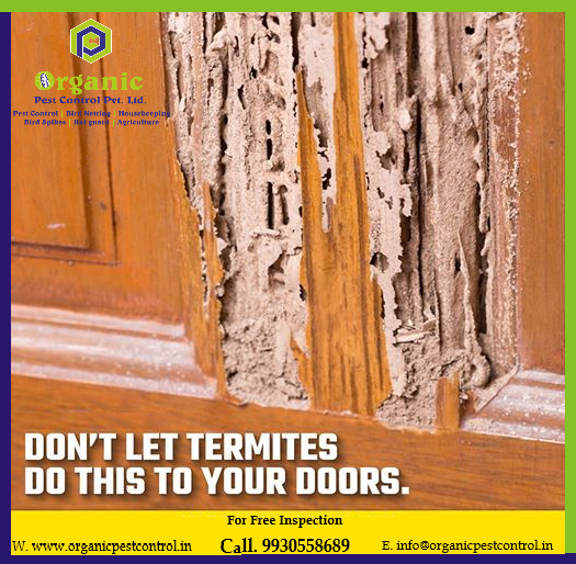 Termite Control Service - Advanced Treatment Solutions | Eco-friendly Formulations, Targeted Elimination Techniques, Comprehensive Property Protection