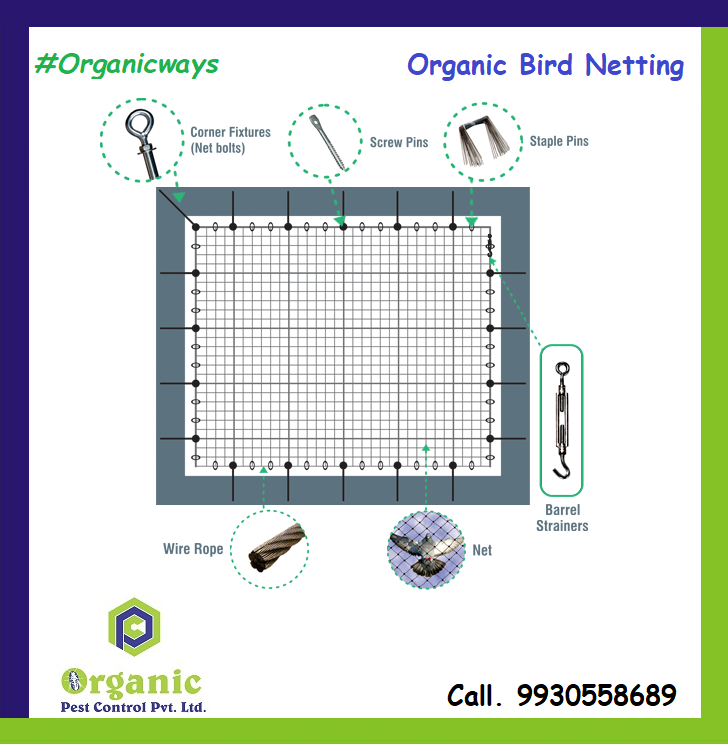 Residential Bird Netting - Nylon Material, Requirement Based Length, Green Color | Protection Against Pest Birds For Commercial Use