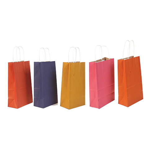 8x10x4 इंच का प्लेन कलर बैग