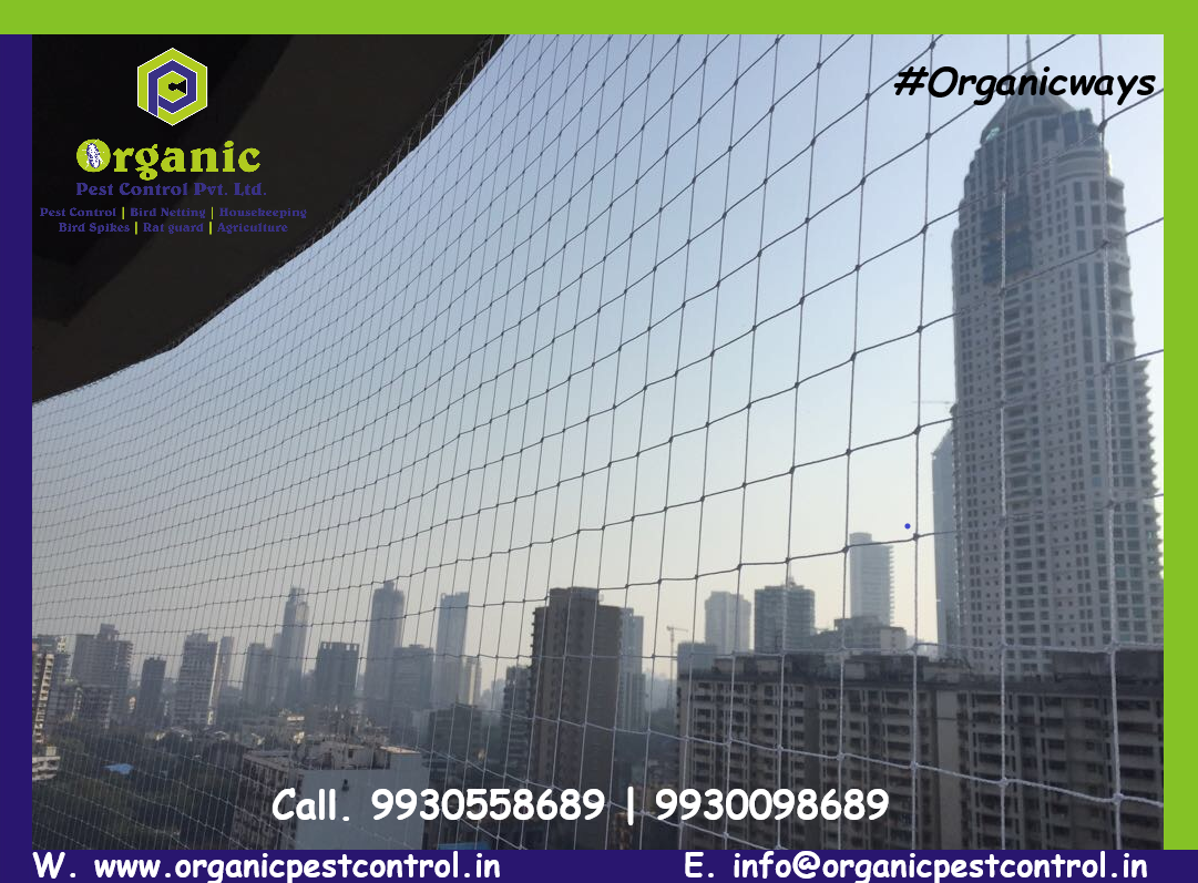 Bird Control Services - Nylon Net, Custom Lengths In Meters, Green Color | Effective Bird Protection For Commercial Buildings