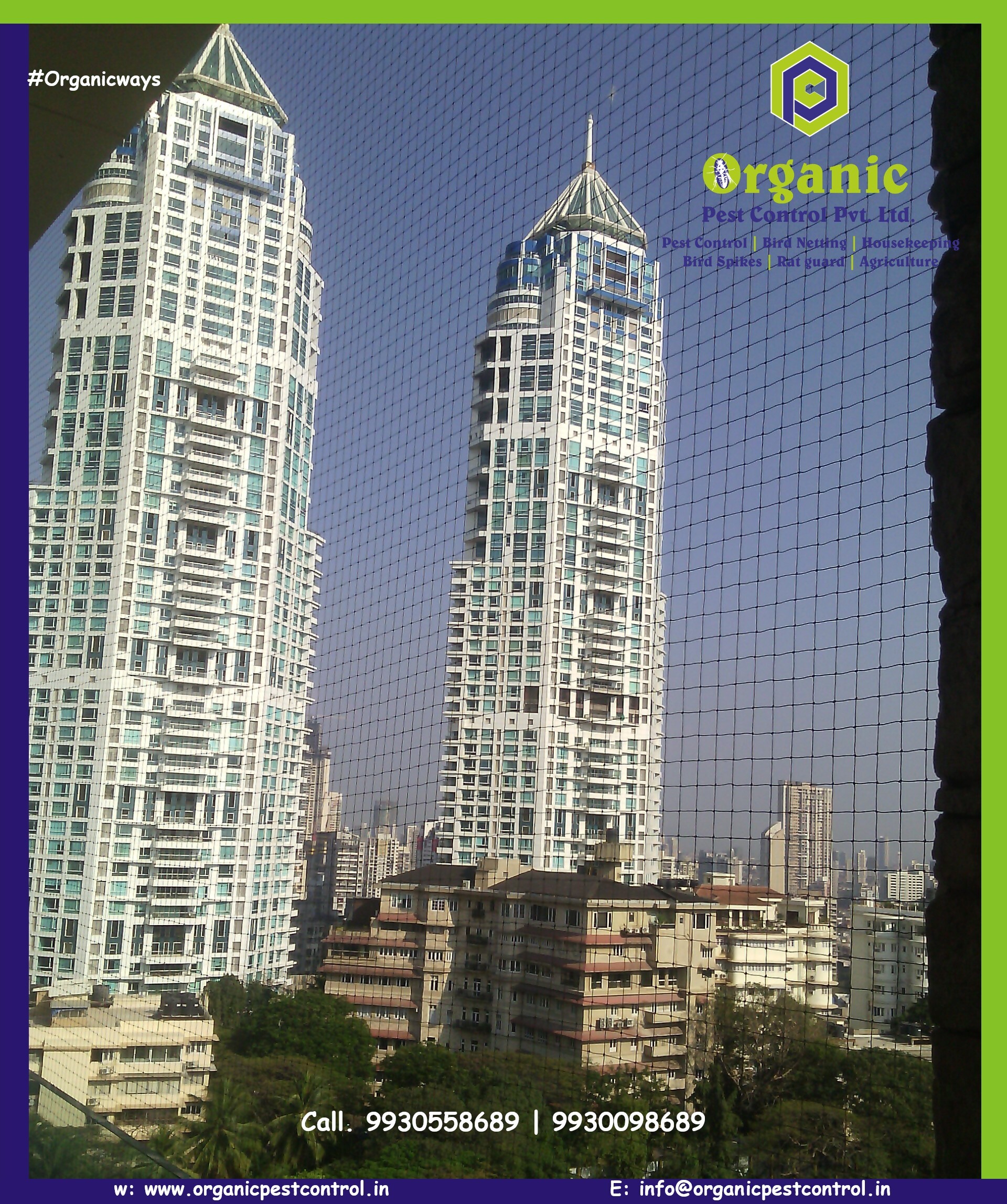 Bird Control Services - Nylon Net, Custom Lengths In Meters, Green Color | Effective Bird Protection For Commercial Buildings